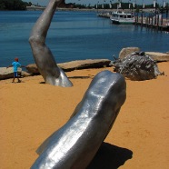 IMG_1148